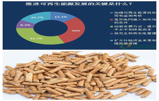 木屑顆粒機(jī),秸稈顆粒機(jī),鋸末顆粒機(jī),生物質(zhì)顆粒機(jī),顆粒機(jī)生產(chǎn)廠家